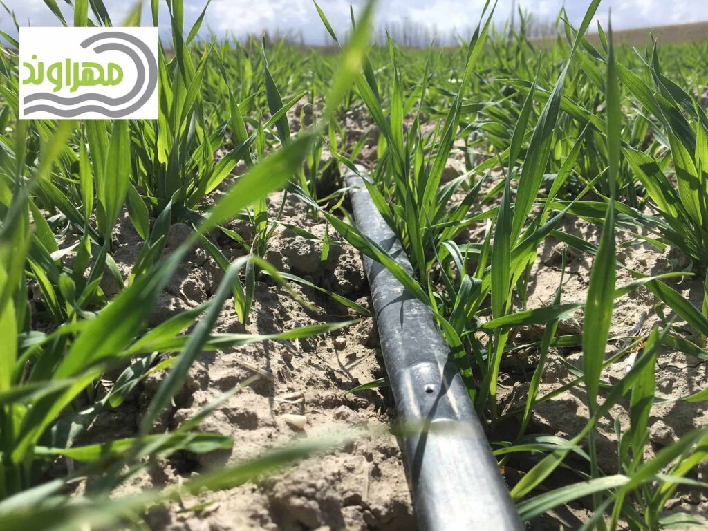 What is the cost of tape for one hectare?